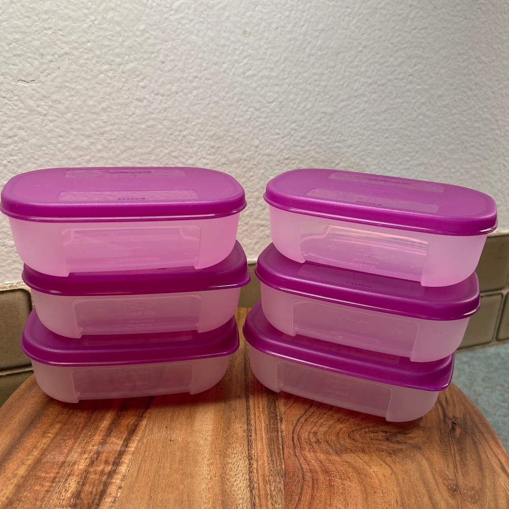 Vintage Tupperware Mini Freezer Mates With Purple Seals Set of 6 Holds 1 Cup